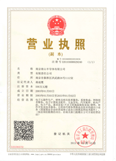 南京彩神vll营业执照